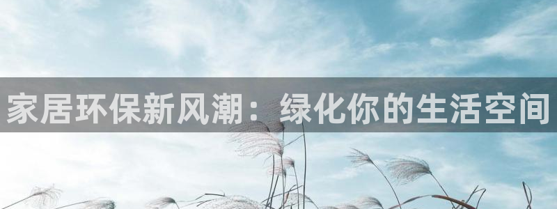 杏耀软件