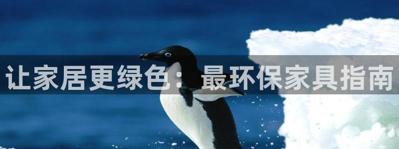 杏耀代理主管qq