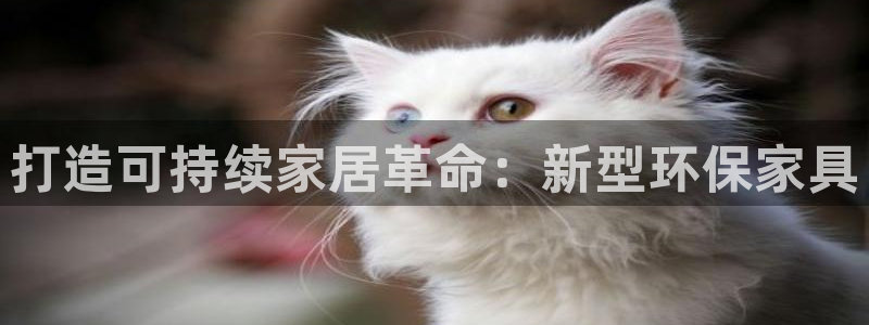 杏耀官方娱乐
