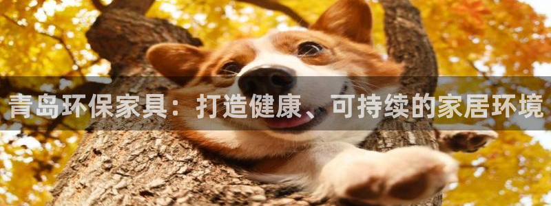 杏耀注册线路：青岛环保家具：打造健康、可持续的家居环境