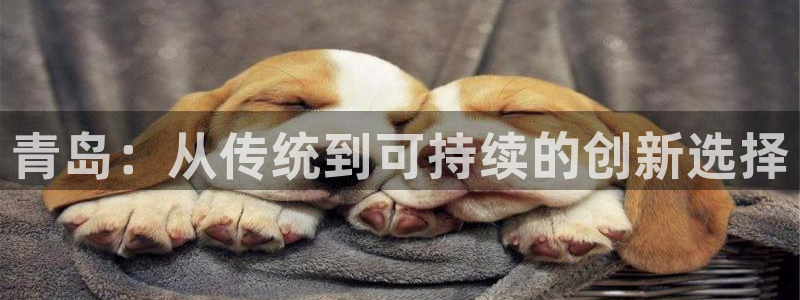 杏耀平台网站是什么