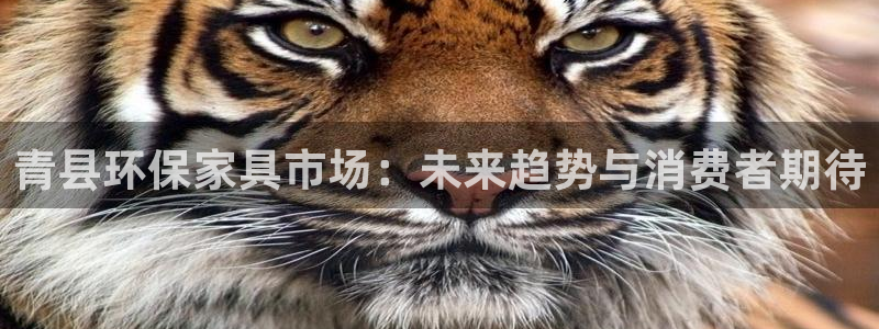 杏耀平台登陆地址：青县环保家具市场：未来趋势与消费者期待