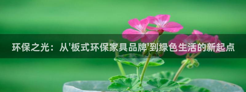 杏耀手机登录线路测速：环保之光：从\'板式环保家具品牌\'到