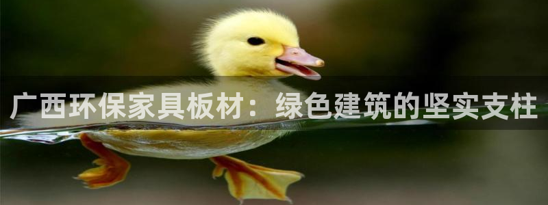 杏耀登陆测速：广西环保家具板材：绿色建筑的坚实支柱