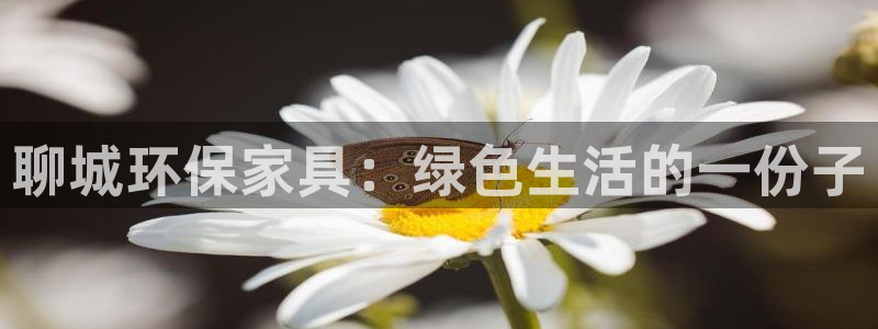 杏耀管网登录：聊城环保家具：绿色生活的一份子