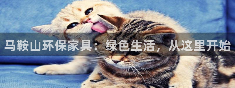 杏耀平台黑款