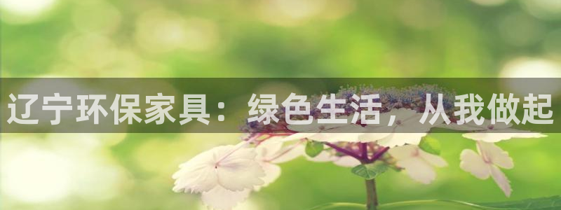 杏耀线路测速登录中心：辽宁环保家具：绿色生活，从我做起