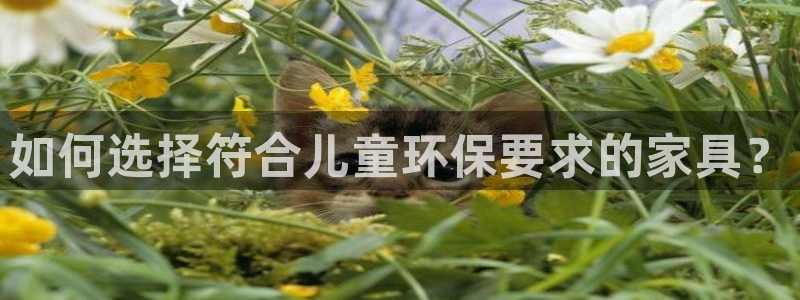 杏耀平台还在吗：如何选择符合儿童环保要求的家具？