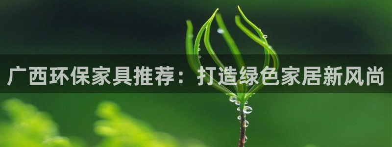 杏耀官方网：广西环保家具推荐：打造绿色家居新风尚