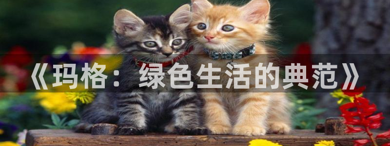 杏耀平台注册代理：《玛格：绿色生活的典范》