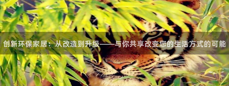 杏耀开户app下载：创新环保家居：从改造到升级——与你共享改