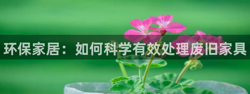 杏耀平台代理注册：环保家居：如何科学有效处理废旧家具