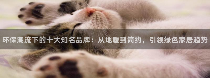 杏耀平台娱乐登陆：环保潮流下的十大知名品牌：从地暖到简约，引