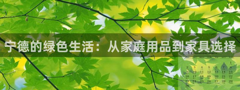 杏耀注册登录平台：宁德的绿色生活：从家庭用品到家具选择