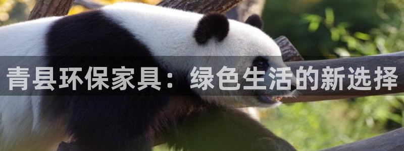 杏耀平台测：青县环保家具：绿色生活的新选择