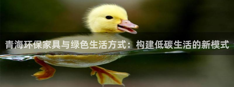 杏耀代理主管qq