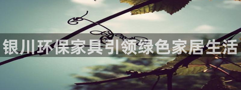 杏耀平台靠谱吗：银川环保家具引领绿色家居生活