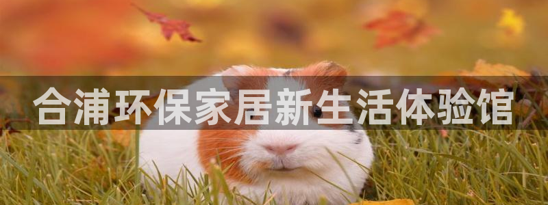 杏耀平台一安全注册入口：合浦环保家居新生活体验馆
