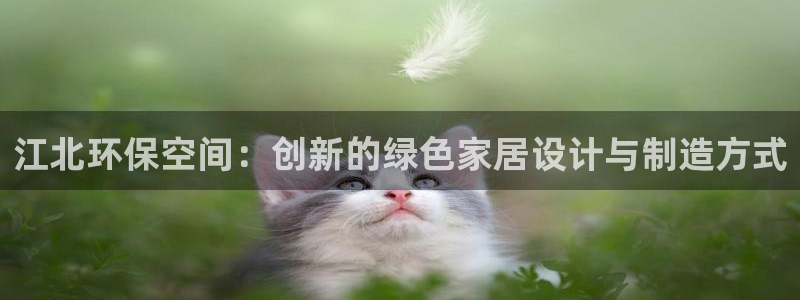 杏耀主管qq：江北环保空间：创新的绿色家居设计与制造方式