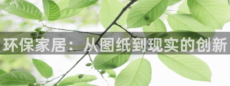 杏耀平台没有了：环保家居：从图纸到现实的创新