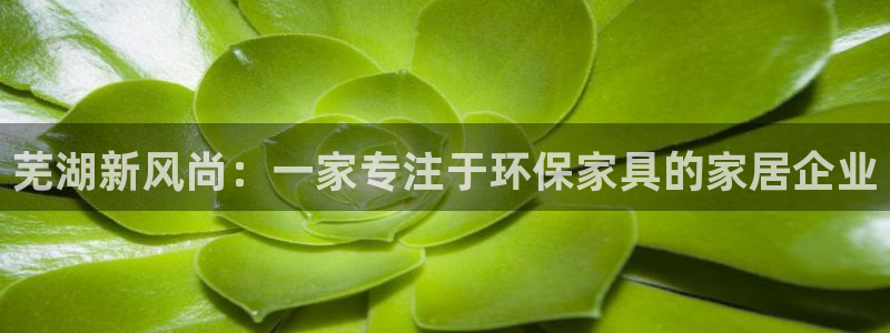 杏耀登录网页：芜湖新风尚：一家专注于环保家具的家居企业