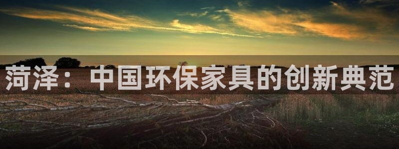 杏耀平台首页：菏泽：中国环保家具的创新典范