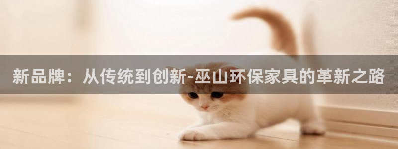 杏耀平台怎么样：新品牌：从传统到创新-巫山环保家具的革新之路
