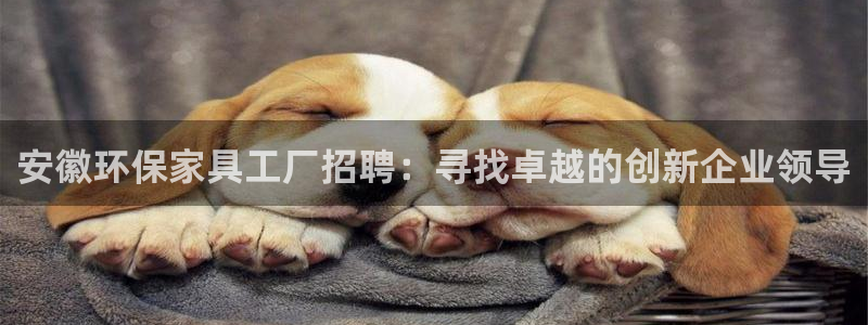 杏耀平台线路：安徽环保家具工厂招聘：寻找卓越的创新企业领导