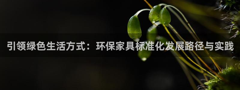 杏耀平台在哪里：引领绿色生活方式：环保家具标准化发展路径与实