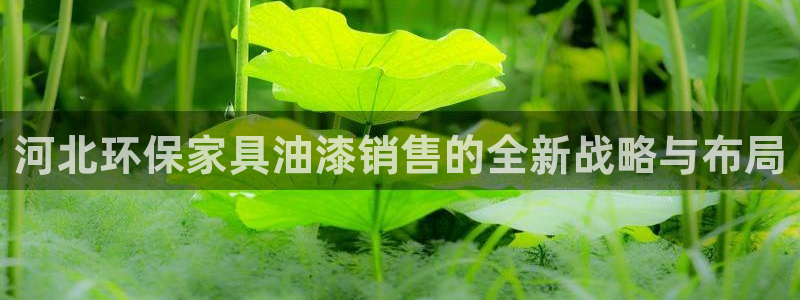 杏耀平台黑款：河北环保家具油漆销售的全新战略与布局