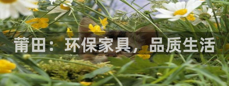 杏耀登陆电脑线路测速