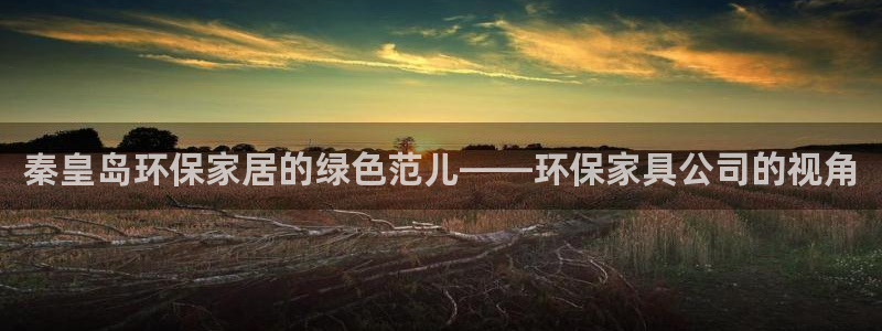 杏耀登入官网：秦皇岛环保家居的绿色范儿——环保家具公司的视角