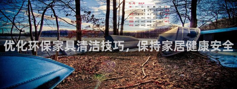 杏耀平台的专用通道