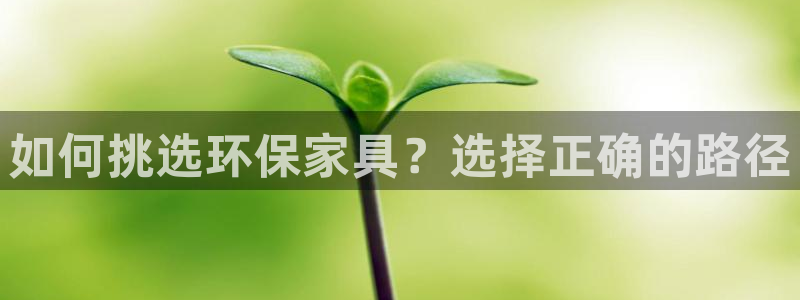 杏耀登陆线路：如何挑选环保家具？选择正确的路径