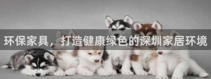 杏耀平台登陆地址：环保家具，打造健康绿色的深圳家居环境