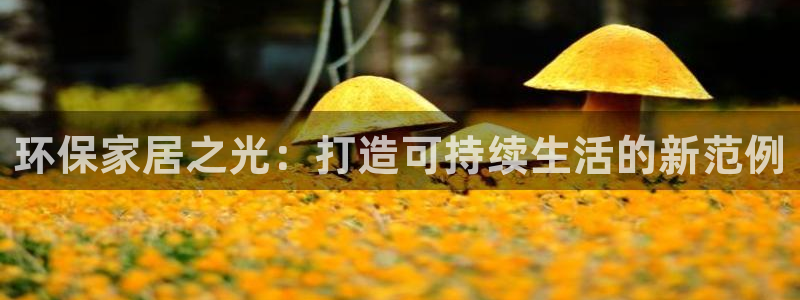 杏耀线路5检测：环保家居之光：打造可持续生活的新范例