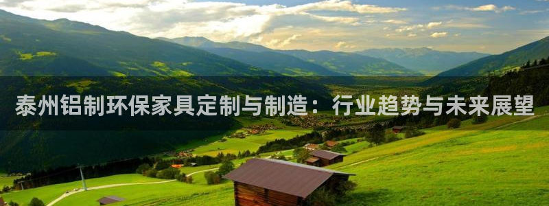 杏耀注册登录代理：泰州铝制环保家具定制与制造：行业趋势与未来