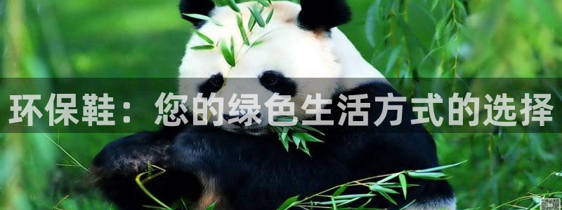 杏耀官网主管：环保鞋：您的绿色生活方式的选择